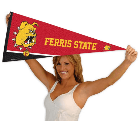 Size reference for custom felt pennants