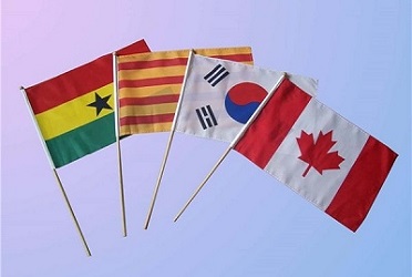 Custom Hand Flags